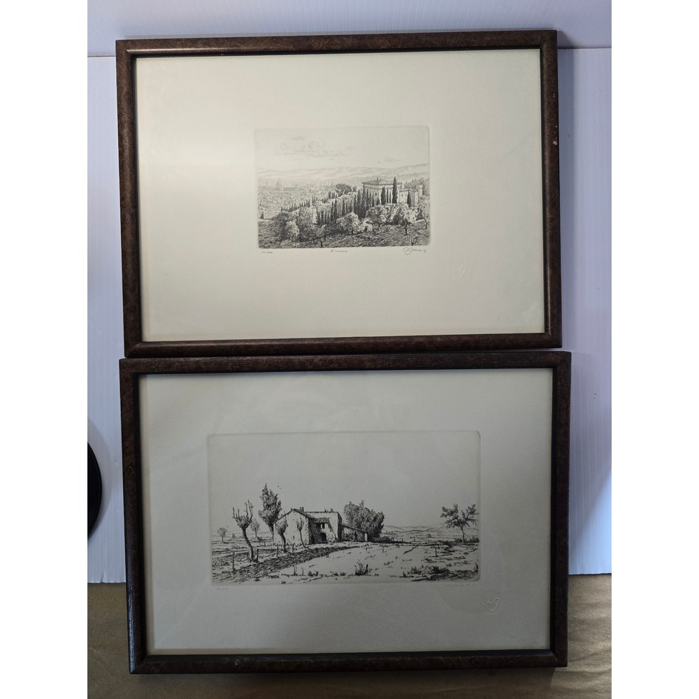 2‎ Vintage Etching Art Print Farmhouse Landscape Italian Scene Framed D. GRAVES